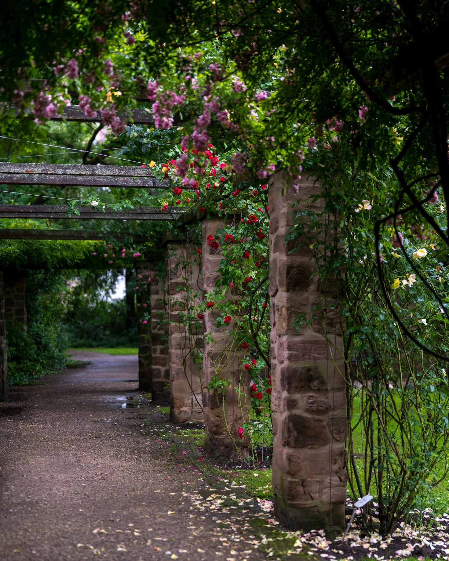 So wird Ihr Garten zum Highlight: Designideen